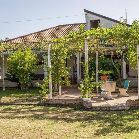 Villa Oidor - Cilento Ascea Dış mekan fotoğraf