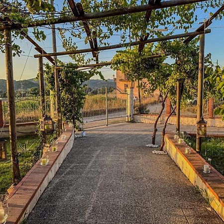 Villa Oidor - Cilento Ascea Dış mekan fotoğraf